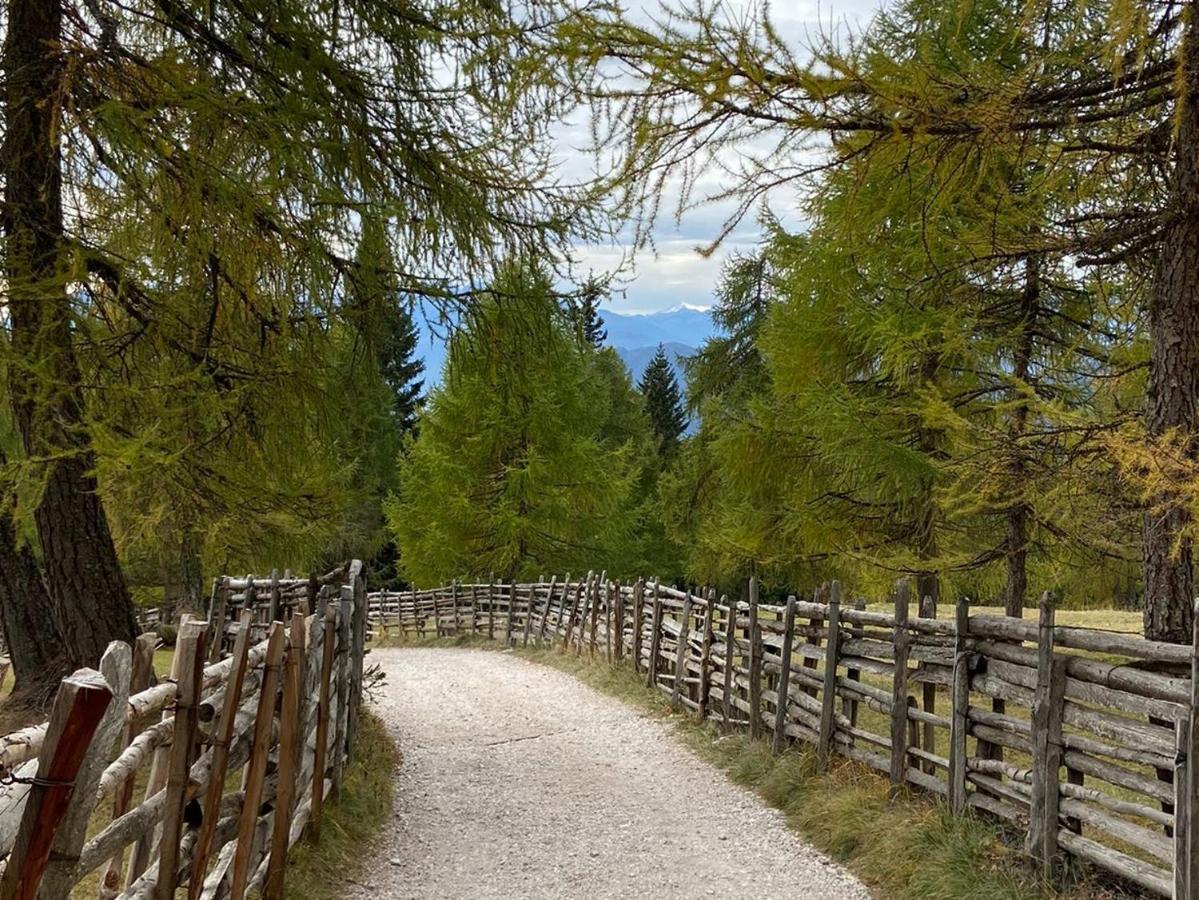 Pension Dolomitenblick Tesimo Extérieur photo